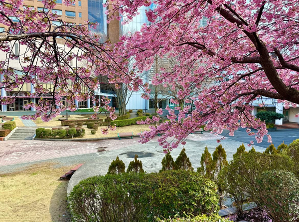 일본대학에서 친구 만들 수 있을까 오비린대학 2.jpg