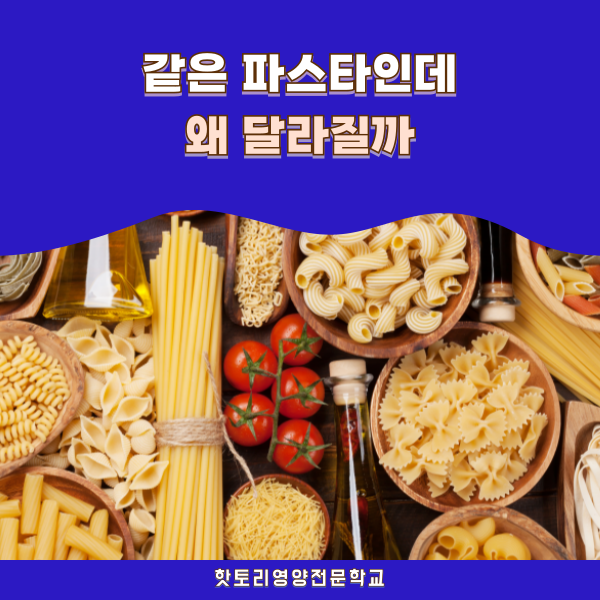파스타는 어떻게 완성될까 핫토리영양전문학교 실습 보기 1.png