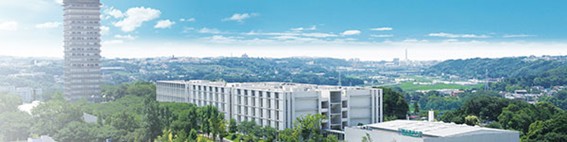 Picture16.jpg
