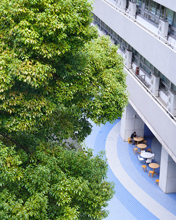 [쇼와여자대학] 2027 입시요강, EJU 250점·JLPT N1이 기본 4.jpg