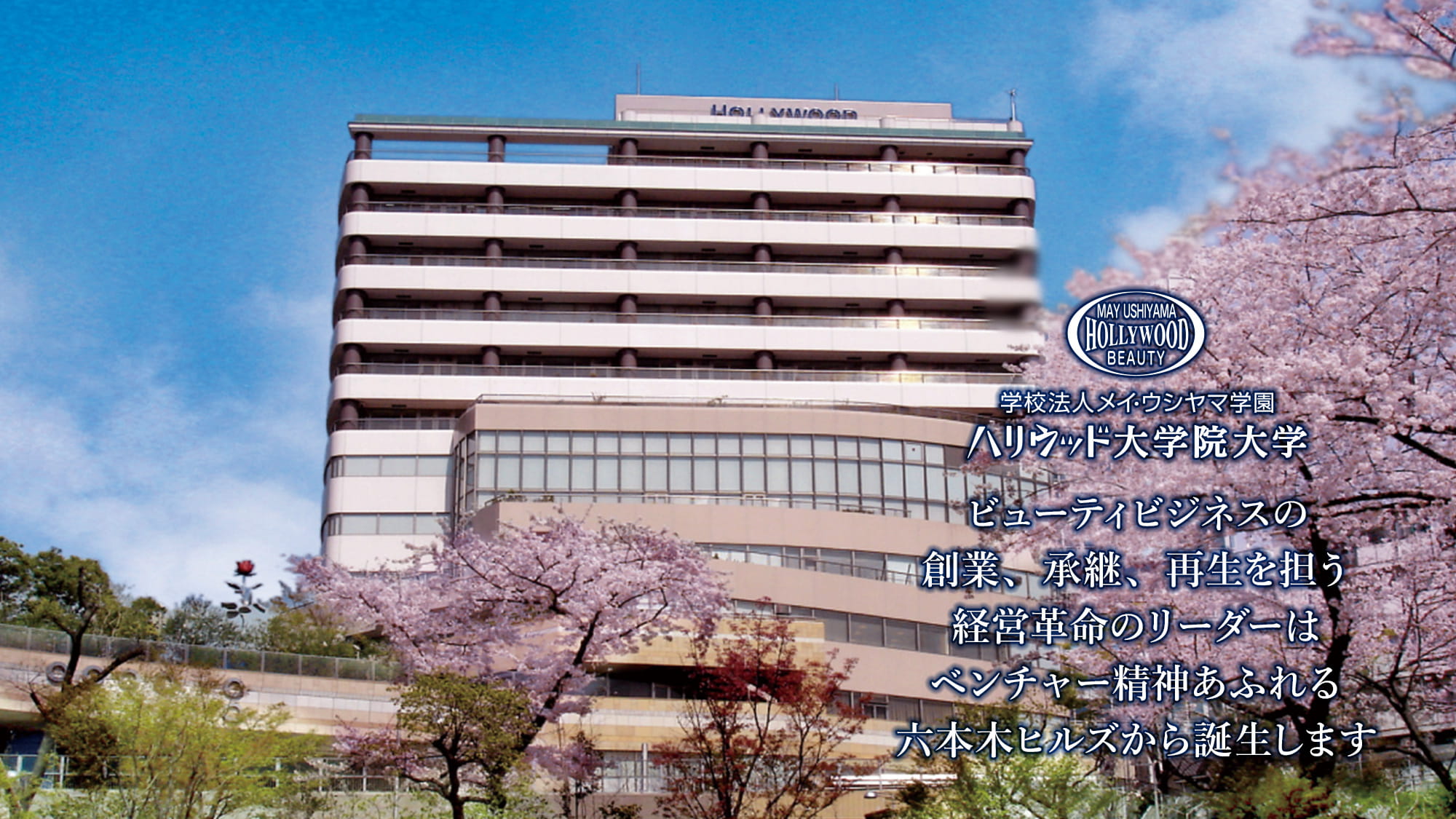 学校写真